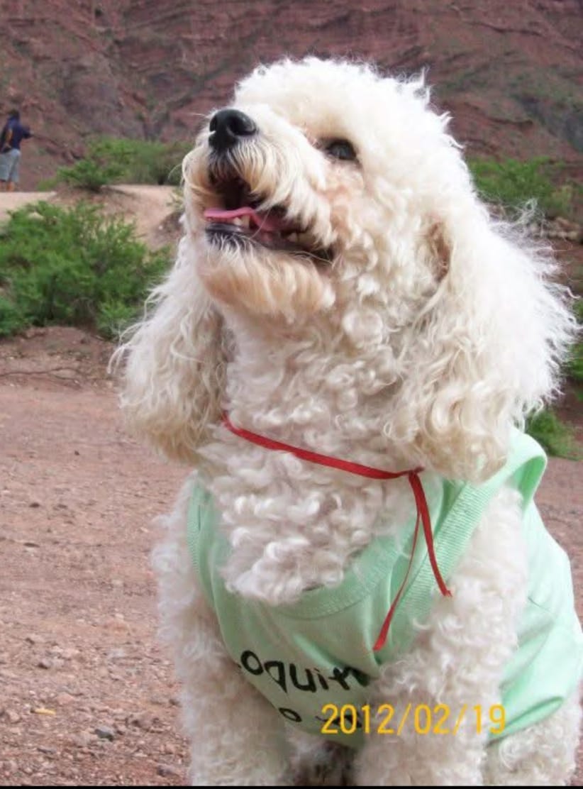 Imagen de publicación